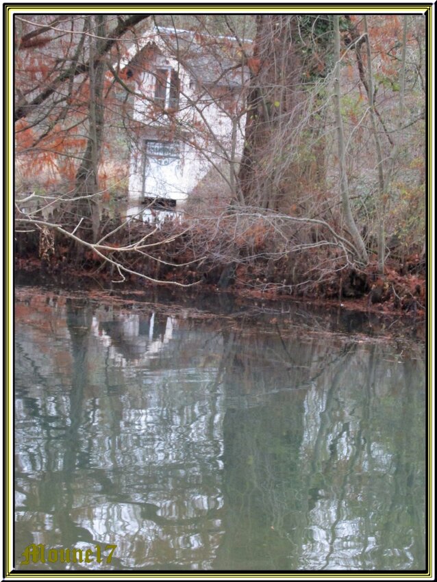 balade sur les bords du Loiret  décembre 2016