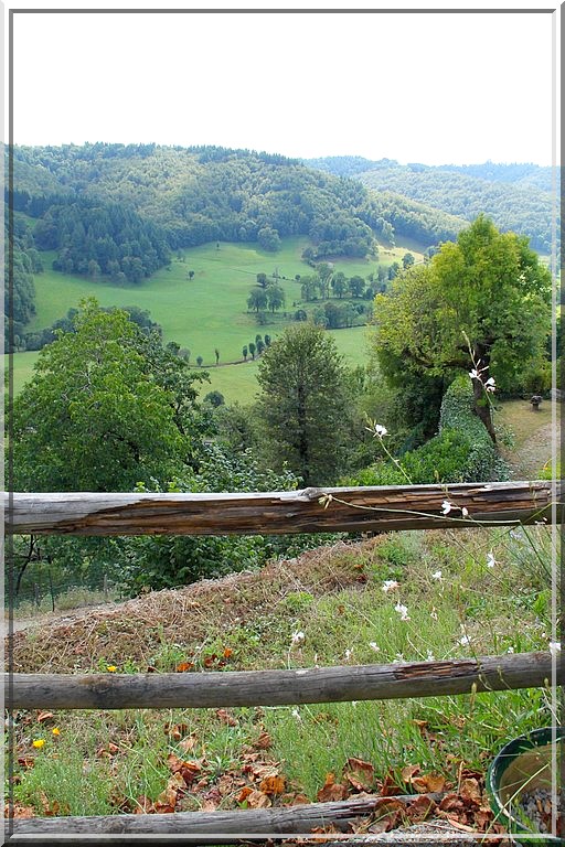 944 - Tournemire dans le Cantal (15)