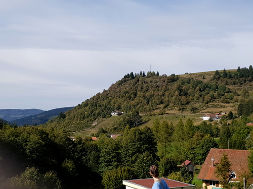 Vue sur les Vosges 