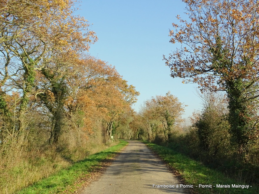 Pornic Marais Mainguy - novembre 2019