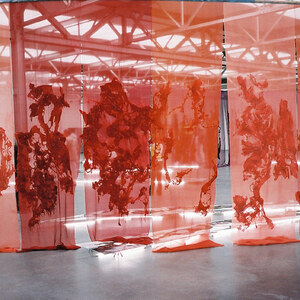 Claudy Jongstra, Red Veil, Mapping Out Paradise, De Pont, Tilburg (2008)