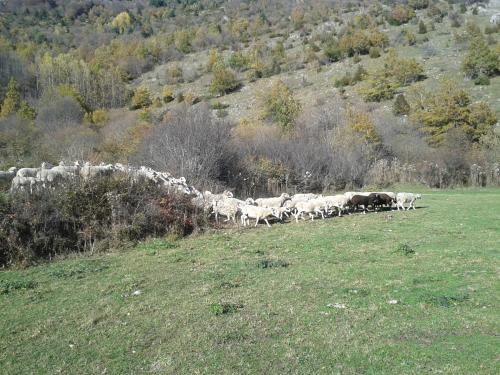 Le retour de l'escadron perdu