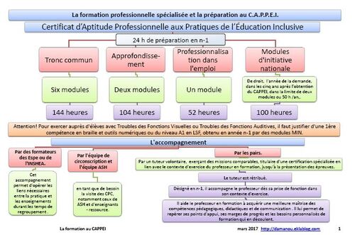 La Formation au CAPPEI