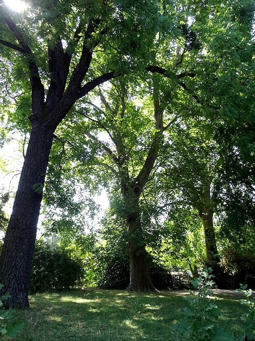 Le Jardin des Sciences de Dijon