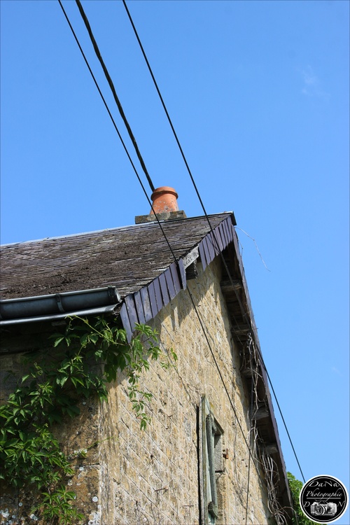 Ecluse 10 de Montgon, le canal des Ardennes