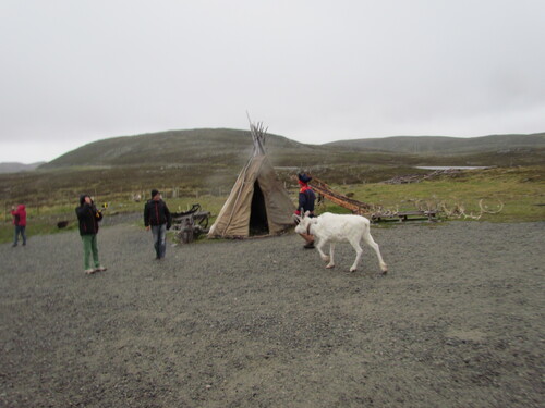 Voyage en haut du monde: (Honningsvag 10).