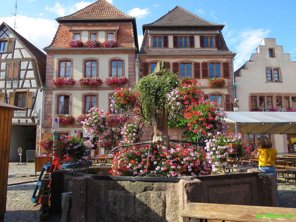 Bergheim en Alsace -2