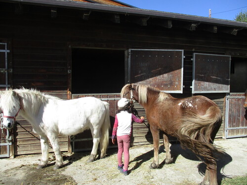 Cabane (2 nuits) : Coma Joan - Lanoux (66)