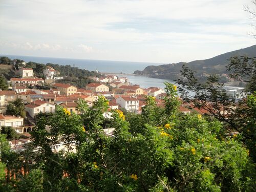 19/1/2015          BOUCLE PORT-VENDRES COLLIOURE