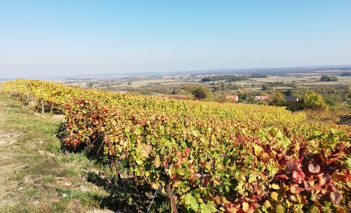 RANDO DU LUNDI 8 OCTOBRE.