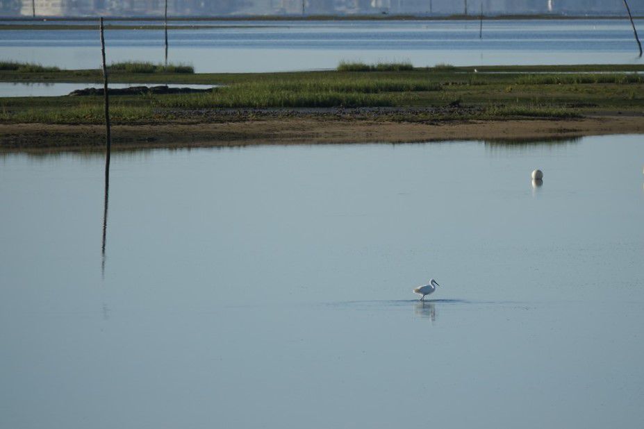 Moment magique au bord du Bassin d'Arcachon...