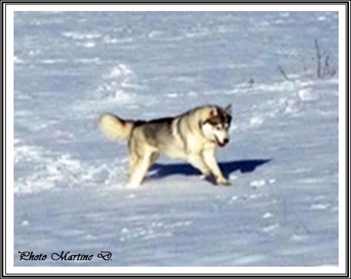 Haïka (2 ans)