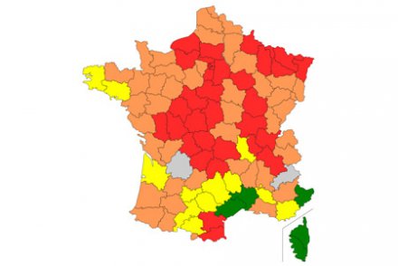 Allergiques au pollen, quel scénario devez-vous espérer ?