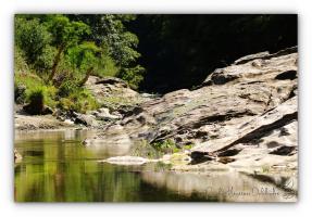 Cévennes près de Florac