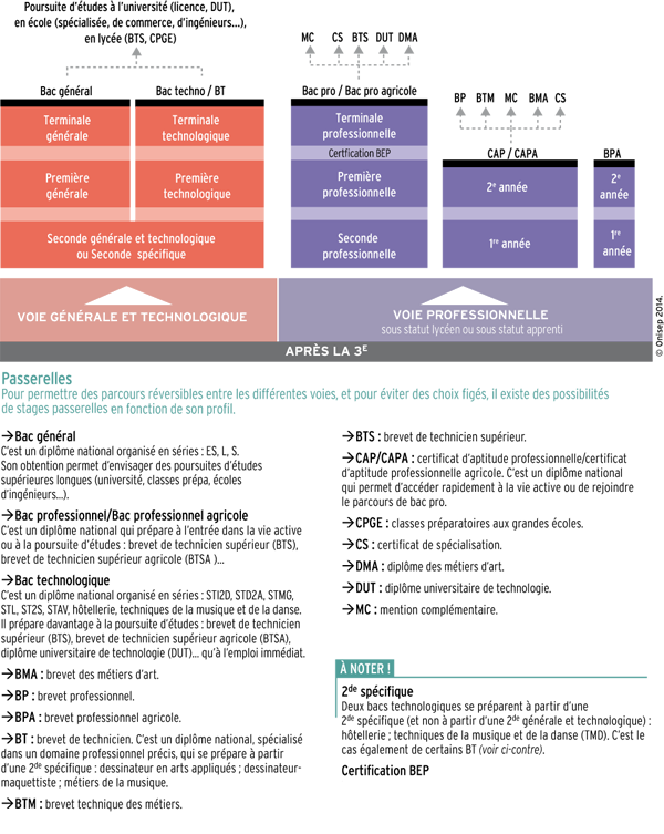 Schéma des études après la 3ème