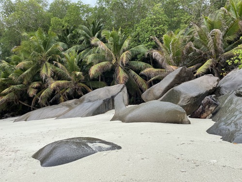 Seychelles, découverte de l'île moyenne.