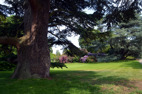 Promenade dans l'Arboretum de la Vallée aux loups et visite de la maison de Châteaubriand