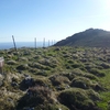 Du sommet de la Hourquette Baygrand Orientale (1386 m), le pic d'Escurets