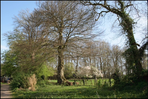 Visite privé d'un ami, pépinièriste en Normandie