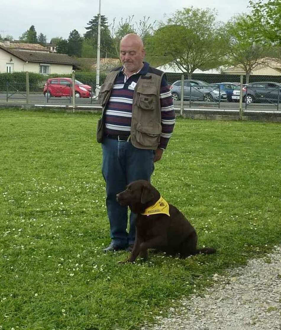 Prévention morsure à l’école N Vannier de St Yrieix.