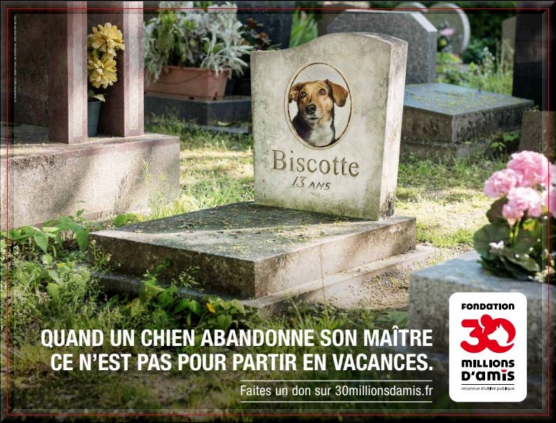 Non à l'abandon des animaux