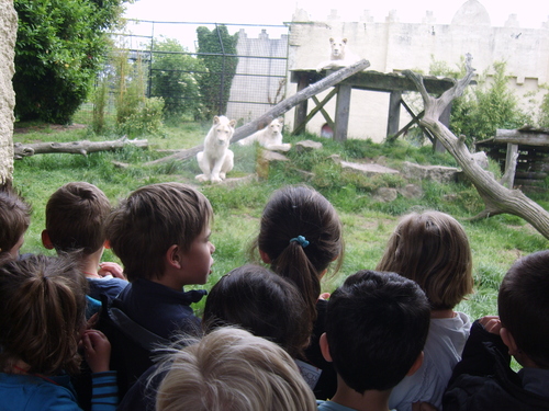 Sortie au zoo de Pont Scorff