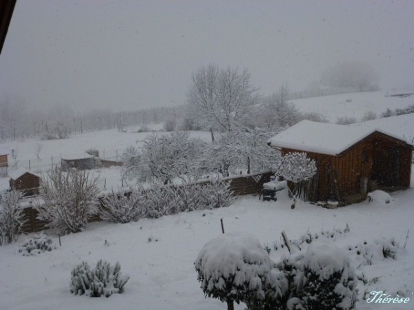 neige 31 janvier 2010 (6)