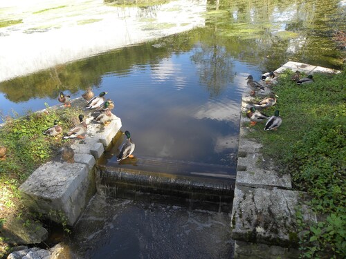 Hier au parc