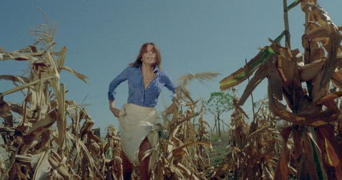 Les chiens enragés, Cani arrabbiati, ou, Semaforo rosso, Mario Bava, 1974