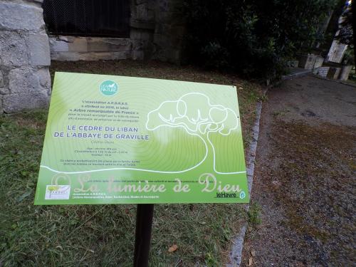 Le Havre, abbaye de Graville