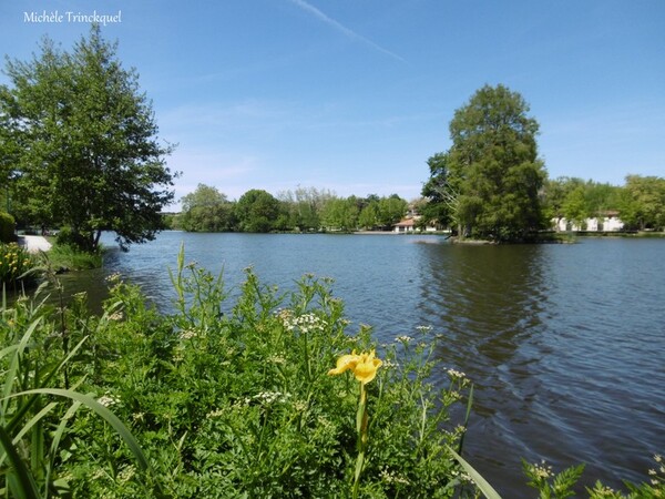 Une balade au Lac de Christus à SAINT PAUL LES DAX (40), le 6 mai (suite n° 3 et fin)