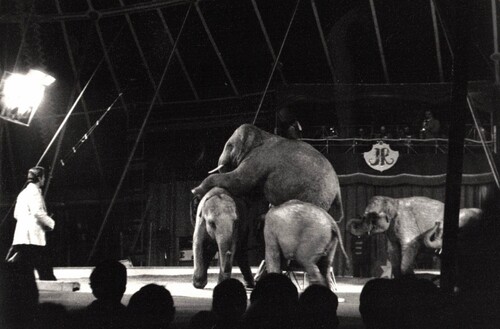 au cirque Jean Richard, les animaux sont rois en  1977 !