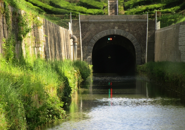 Une belle croisière à bord du bateau La Billebaude, sous la voûte du canal de Bourgogne, avec la FNATH