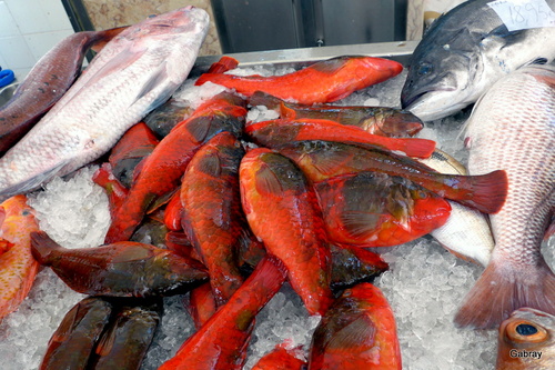 Madère : le marché aux poissons ... n12