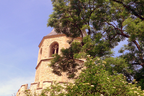 Sorèze en 81 : l'église Saint Martin ... n 1