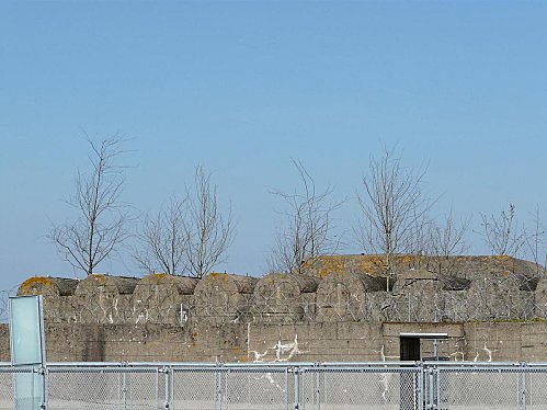 08-04-2010 056