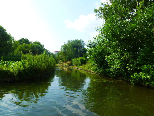   AMIENS    /     LES HORTILLONNAGES