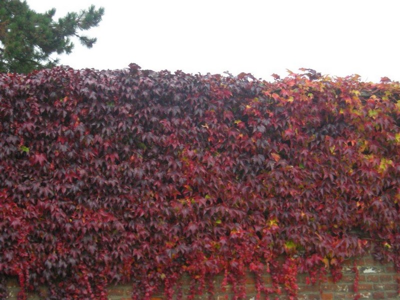 "Charme d'arrière saison" ...