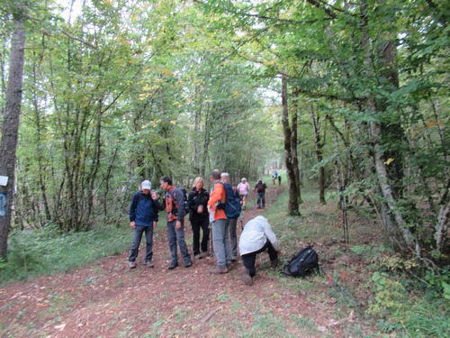 "Forêt de Liau" - Mercredi 25 septembre 2024