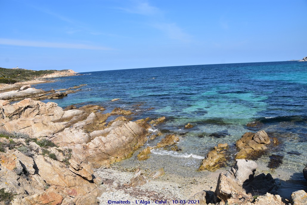 L'Alga - Calvi