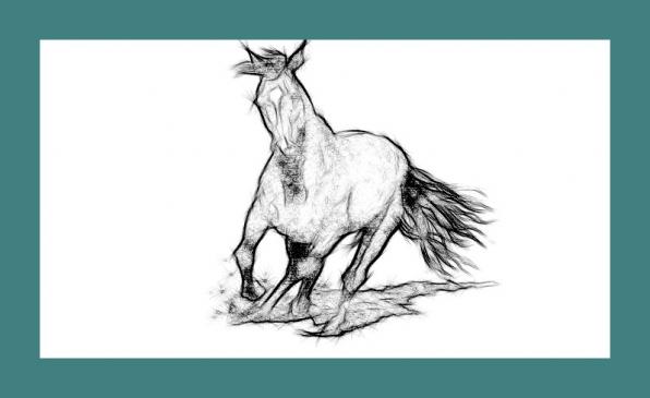 cavalo  Dessin cheval facile, Comment dessiner un cheval, Dessin cheval