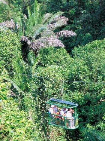 aerial_tram_caribbean_rain_forest_tour_picture_30b