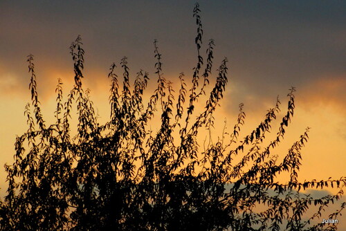 Ciel le soir ...