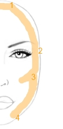 Géométrie du visage #2: Les zones importantes
