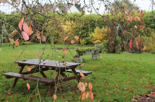 Jardin d'automne