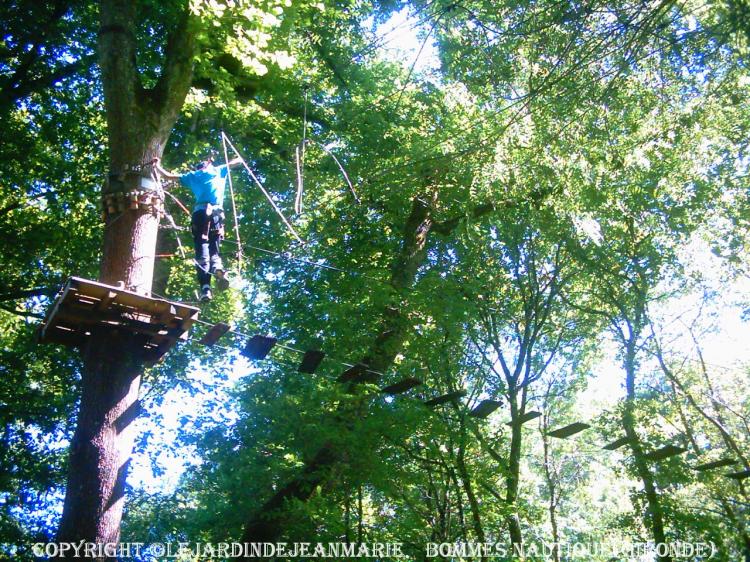Bommes (Gironde)DESCENTE DU CIRON EN GROUPE SANS ENCADREMENT EN CANOË ... PARCOURS AVENTURE EN HAUTEUR : Parcours accrobranche dans les arbres