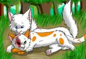 Cloudtail and Brightheart by ~FireMoon9 on deviantART