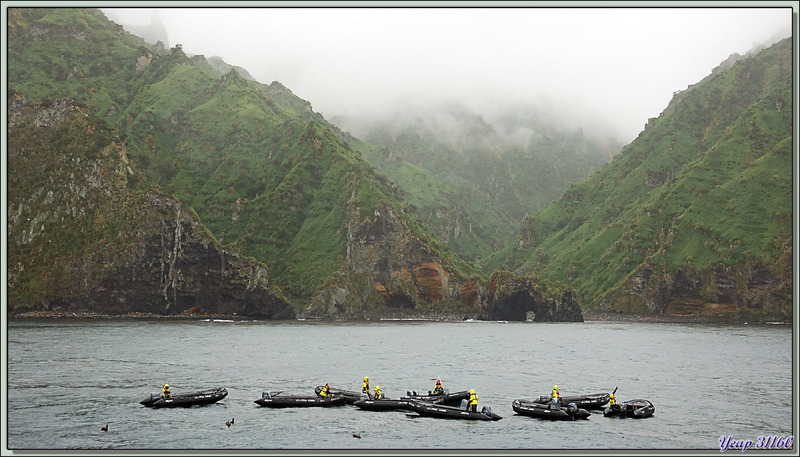 La balade en Zodiac se prépare malgré une pluie battante et grâce à une mer très calme - Quest Bay - Gough Island - Tristan da Cunha