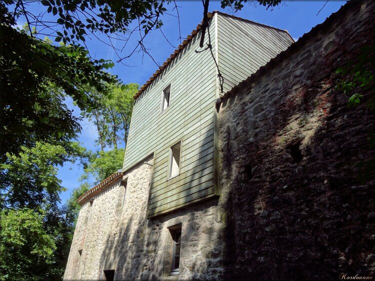 Photo du Moulin à eau de Rambourg (Vendée)