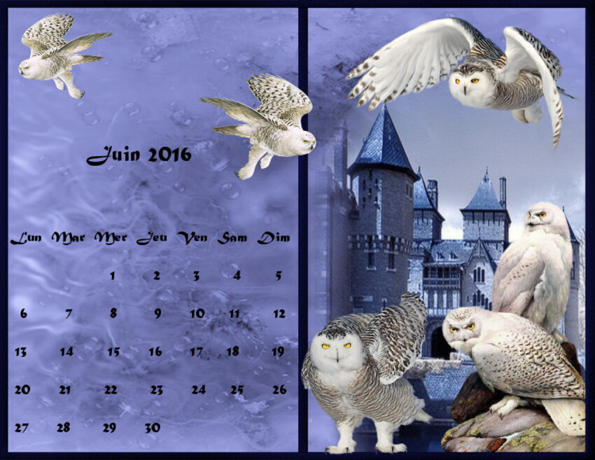 calendriers de juin 2016